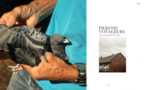  Pigeon vole. La Colombophilie. Revue Regain # 7. Hiver 2019-2020.